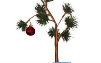 Charlie Brown Christmas Tree Product Review