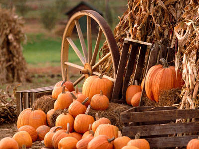 The Inspiration of Autumn