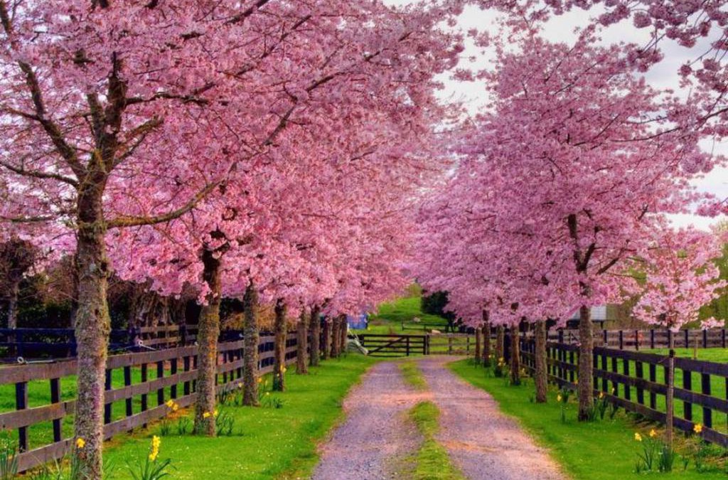 Beautiful Spring Day