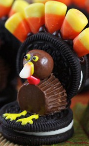 WhooperTurkey_edited-1