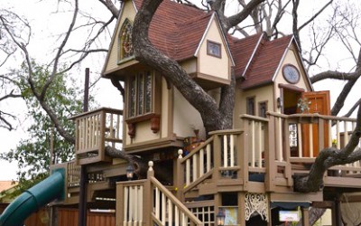 Amazing Tree House