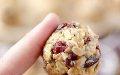 Oatmeal Almond Cranberry Protein Bites