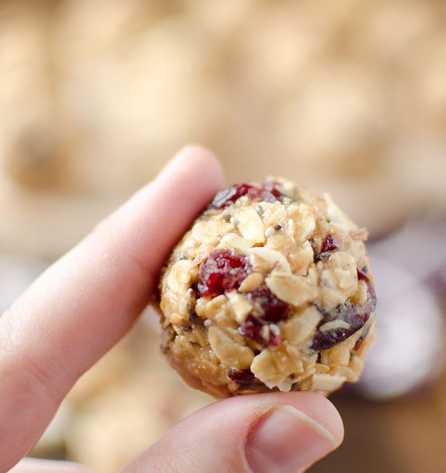 Oatmeal Almond Cranberry Protein Bites