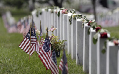 Busy At The Cemetery