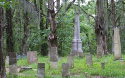 Cemetery Solitude